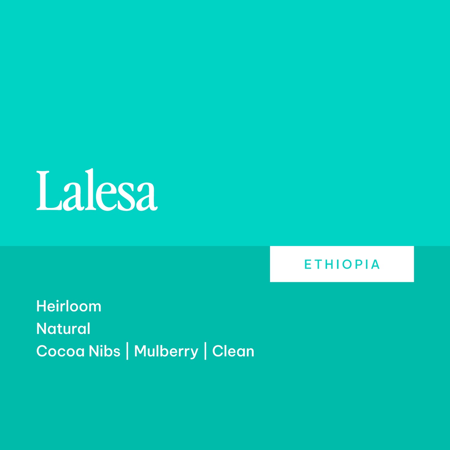 Lalesa - Ethiopia
