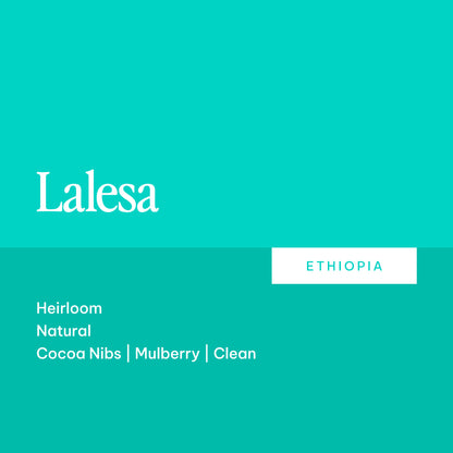 Lalesa - Ethiopia