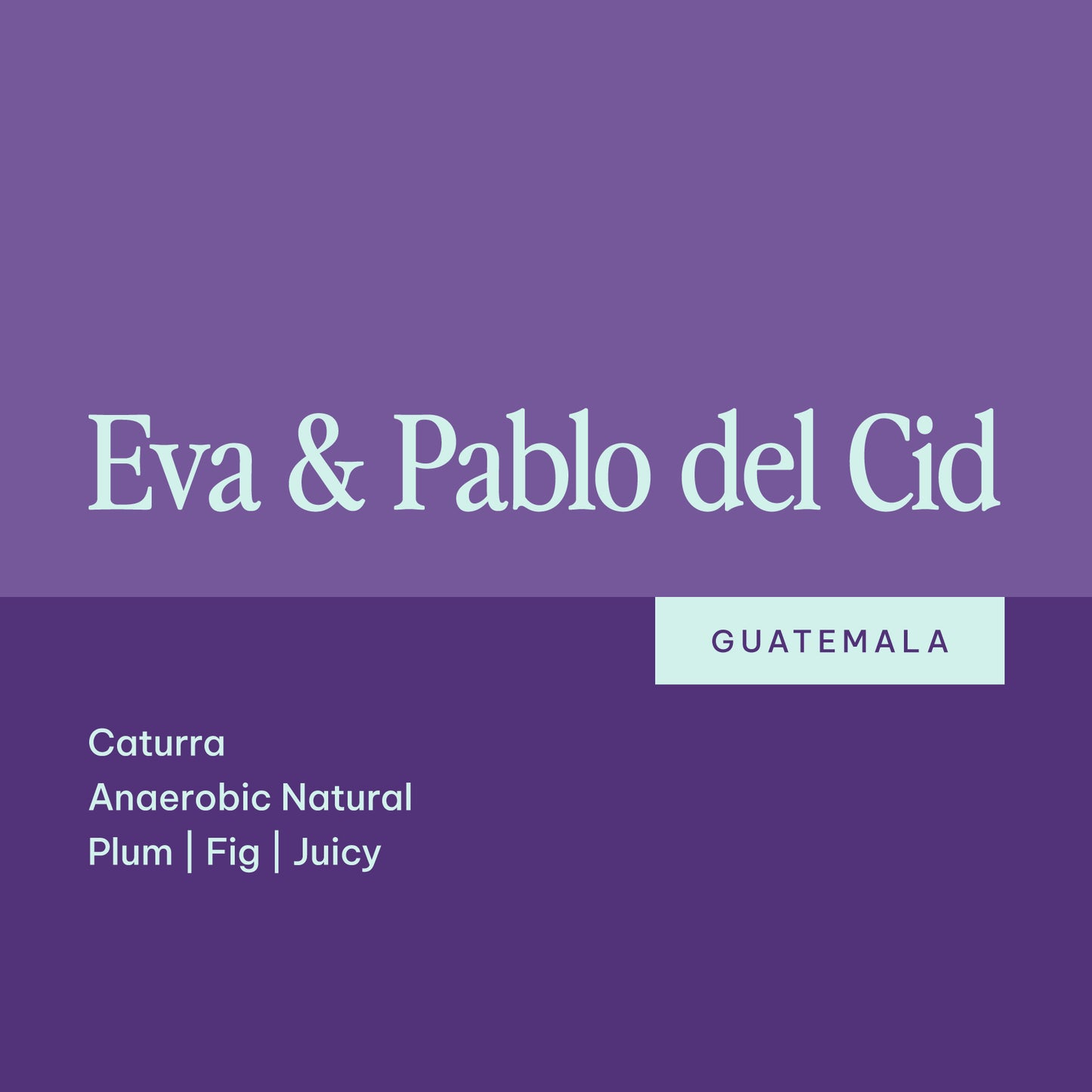 Eva & Pablo del Cid #1 - Guatemala