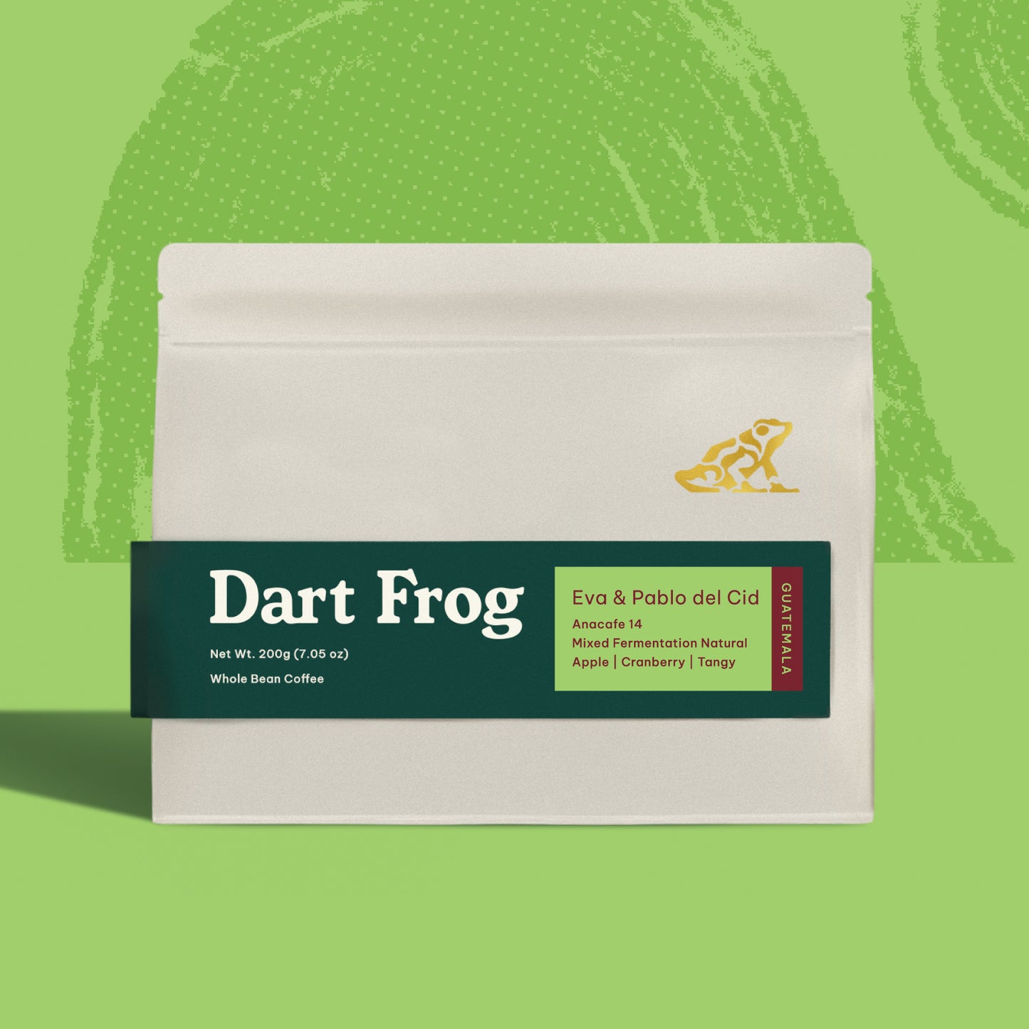 Eva & Pablo del Cid #3 - Guatemala