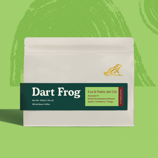 Eva & Pablo del Cid #3 - Guatemala