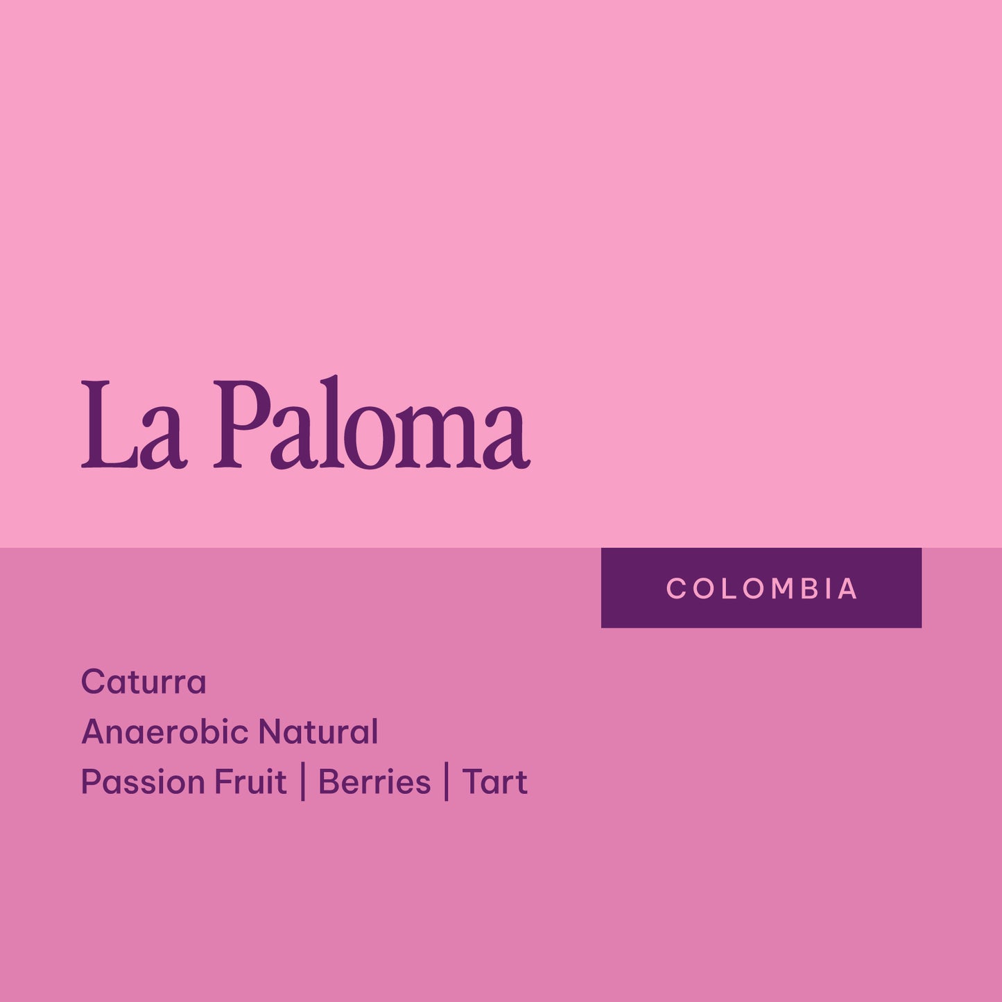 La Paloma - Colombia